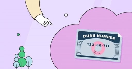 What is a DUNS number?