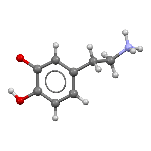 Dopamin Nedir? Mutluluk, Motivasyon ve Bağımlılıkla İlişkisi