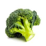 MVMTH Classical Leather Watch In Black